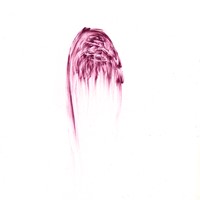 pastel rose sur calque, 2007, 29,7x21cm( coll FNAC/Cndp  11